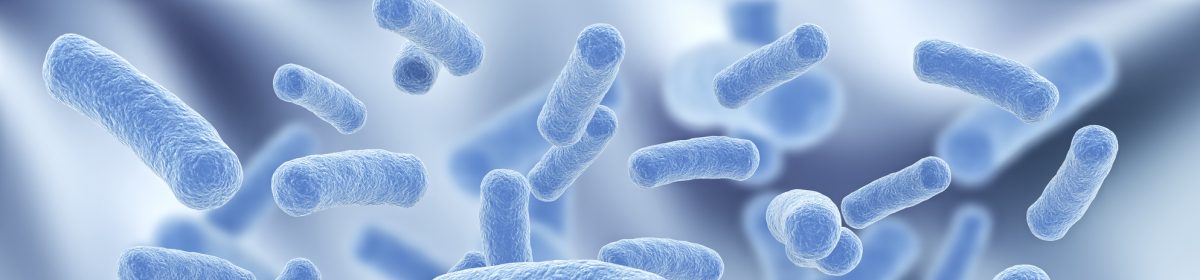 BioVacc Consulting Ltd